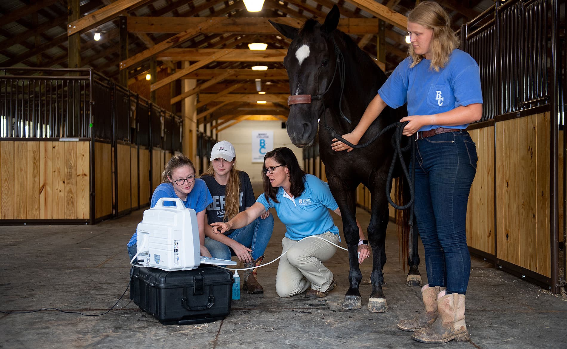 Campus vet examining a horse with students